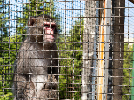 Escape Park Activity 3